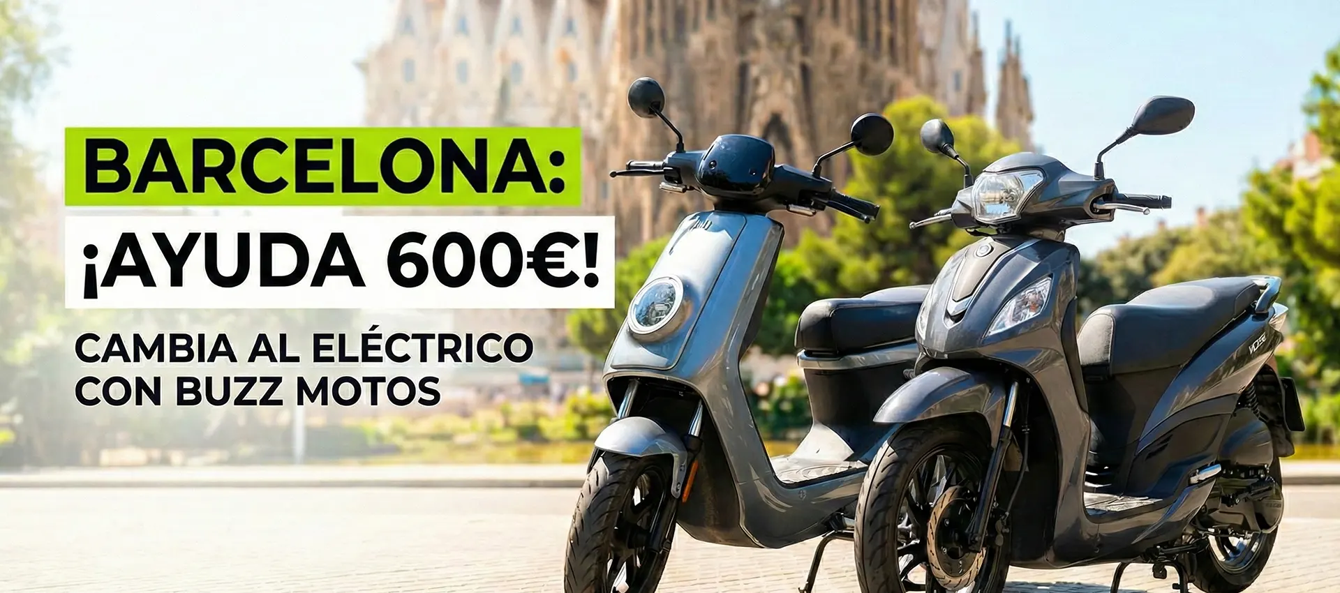 buzz barcelona ayuda 600€